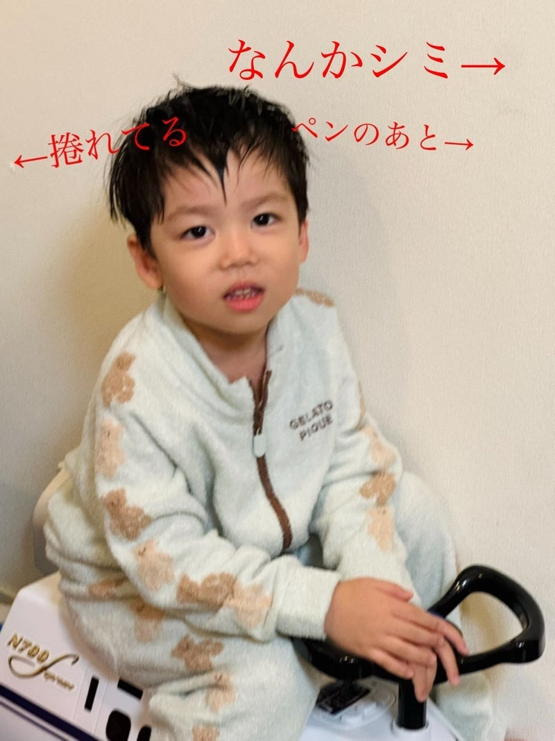 だいた 敷金が心配な家の汚れの画像