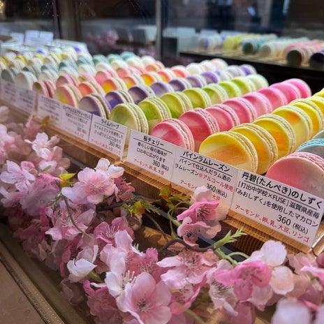 滋賀県で直行して買う絶品の焼き菓子の画像