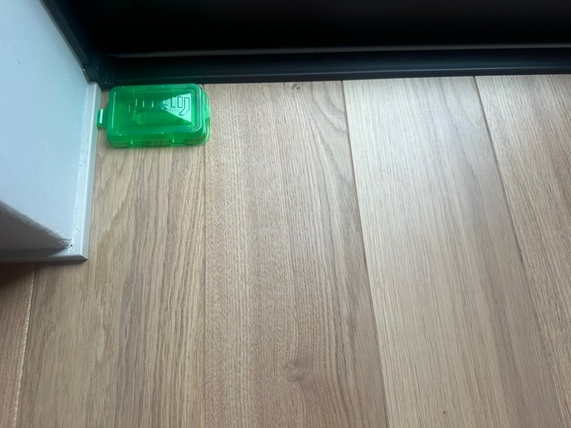 桃 設置したアリ駆除剤の経過の画像