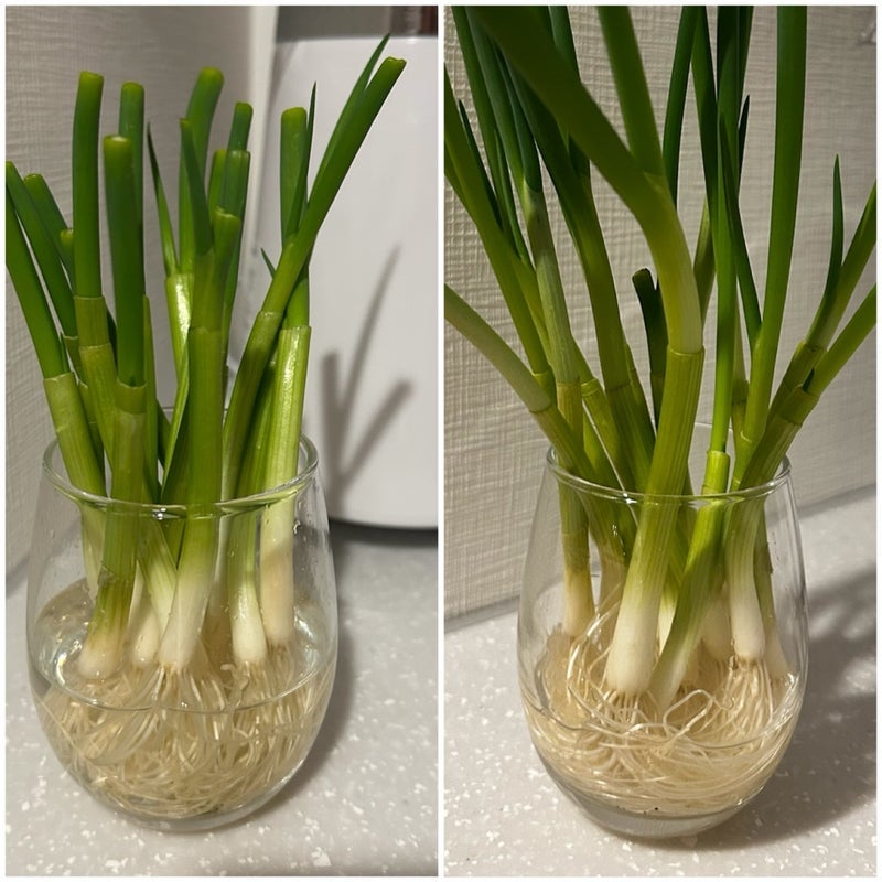 株価が下がり資産200万円近く減少の画像