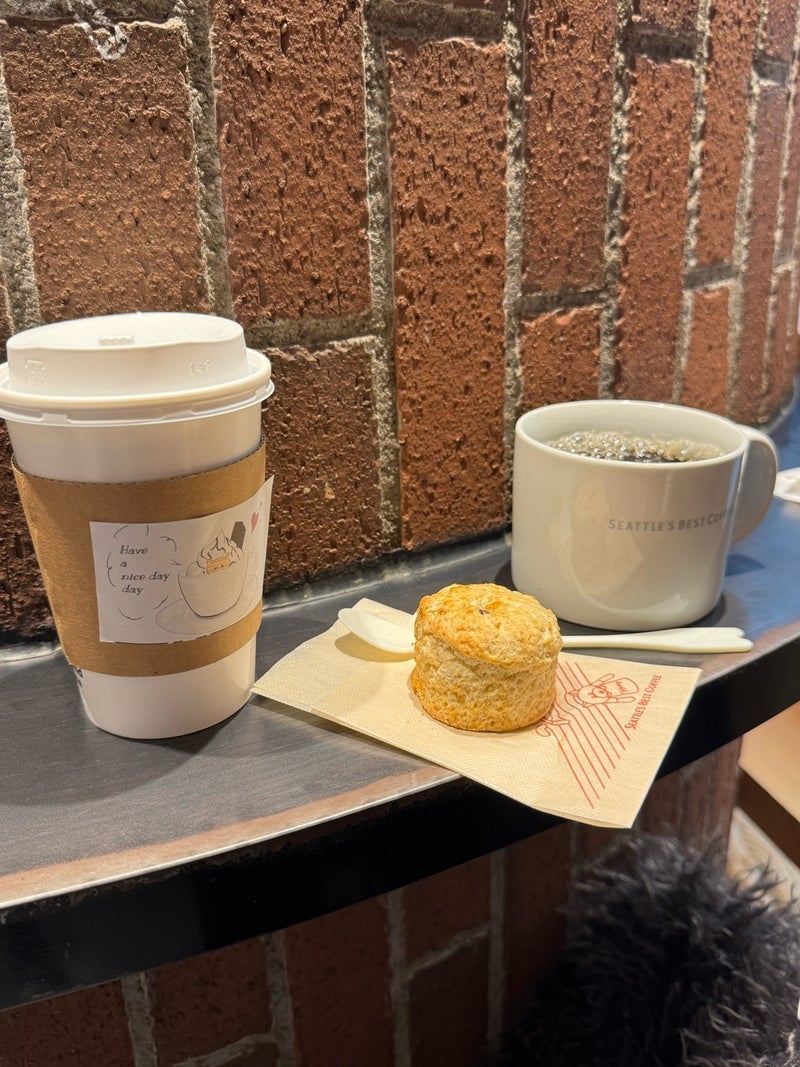 堀ちえみの夫 狭いけど落ち着く空間の画像