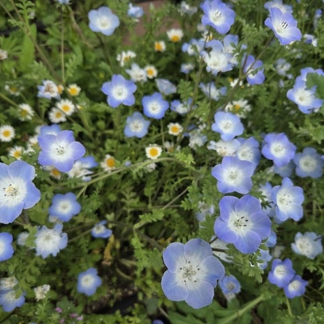 結局ネットで購入した電気ケトルの画像