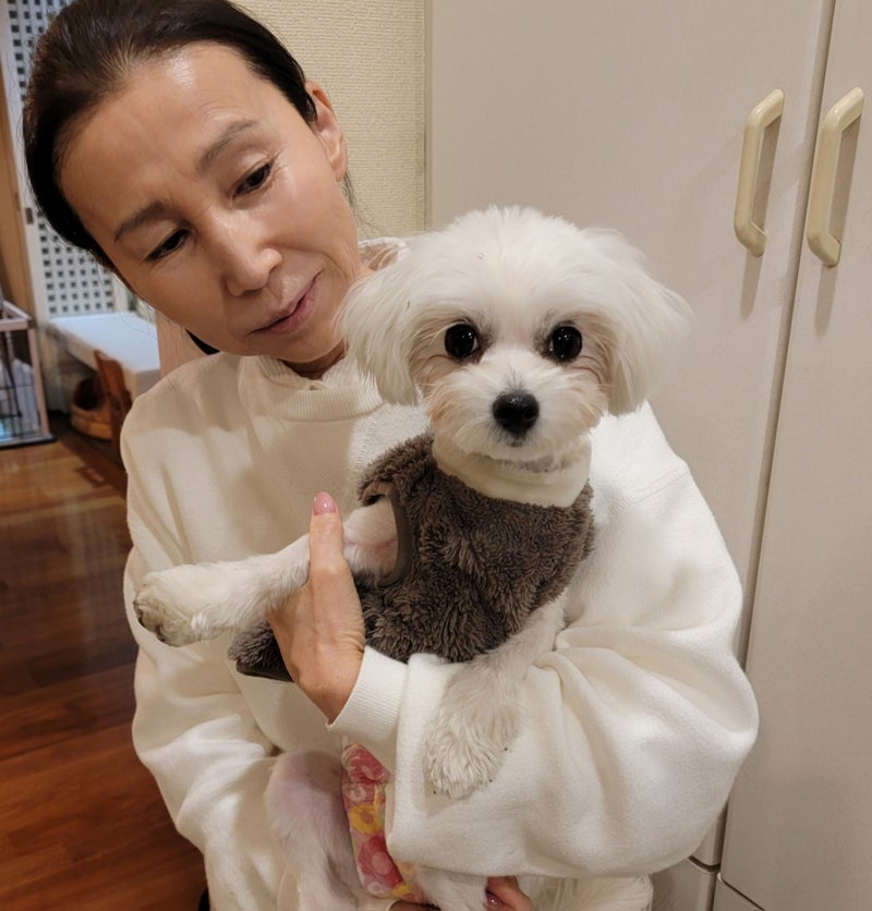 モト冬樹 新しく迎えた保護犬の画像