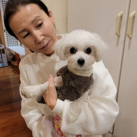 モト冬樹 新しく迎えた保護犬の画像