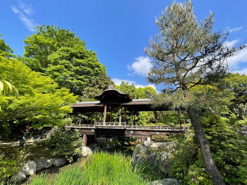 假屋崎省吾 初めて訪れた静かな庭の画像