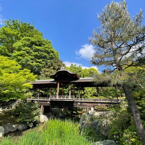 假屋崎省吾 初めて訪れた静かな庭の画像