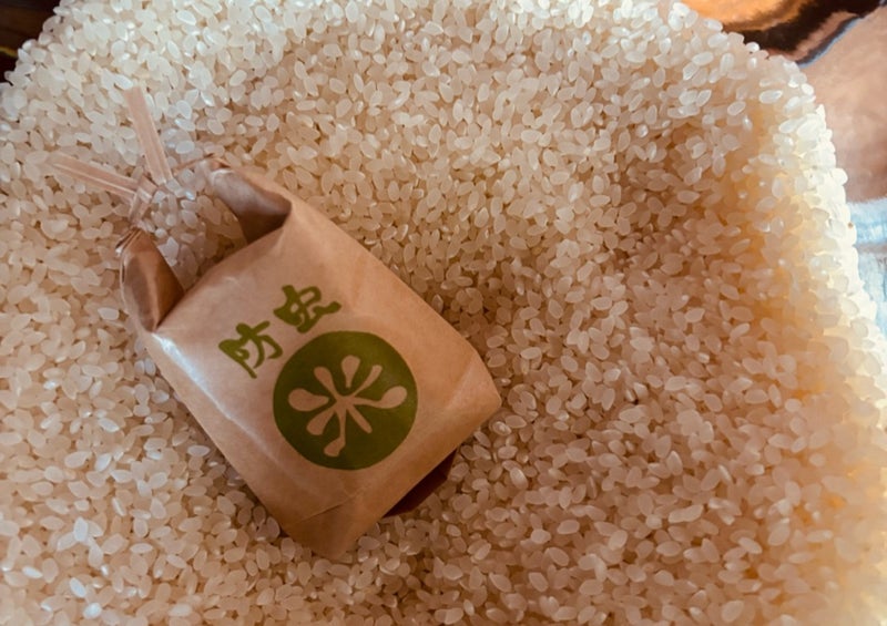 夫は知らないひっそり育てたお金の画像