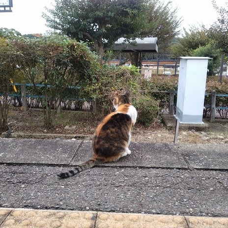 娘に無視された言い訳がましい説明の画像