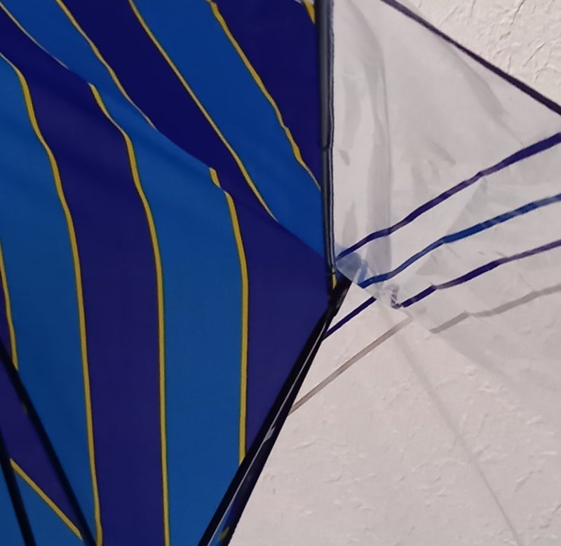 トピックス画像