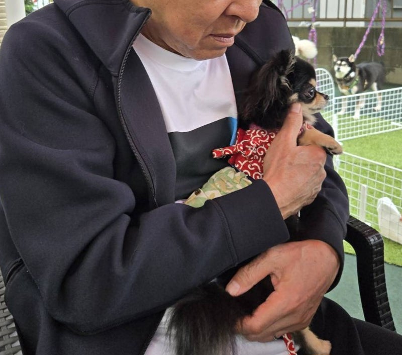 モト冬樹 里親への心からの感謝の画像