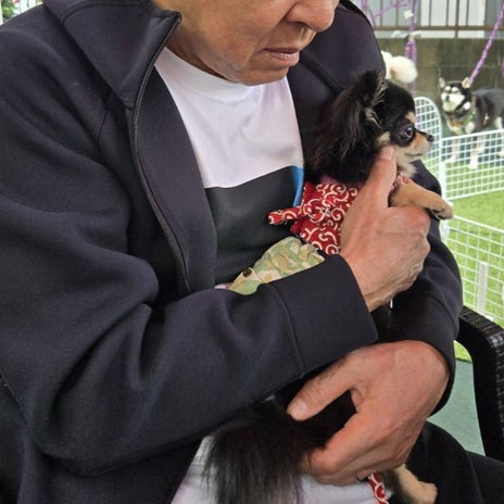 モト冬樹 里親への心からの感謝の画像
