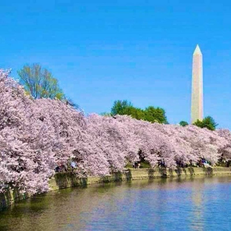 娘とシェアした忘れることのない思い出の画像