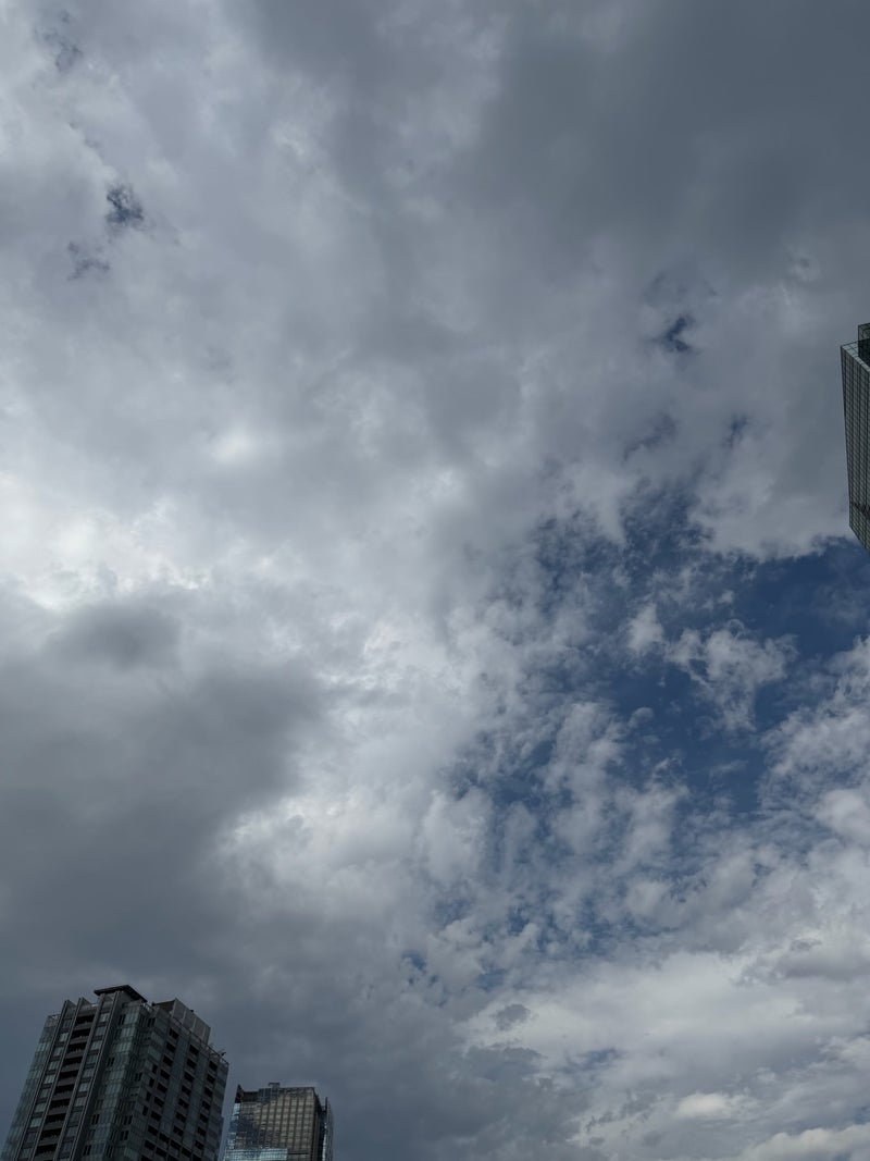 渡辺美奈代 曇り多めのち雨の朝の画像