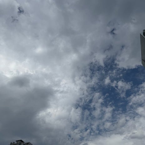 渡辺美奈代 曇り多めのち雨の朝の画像
