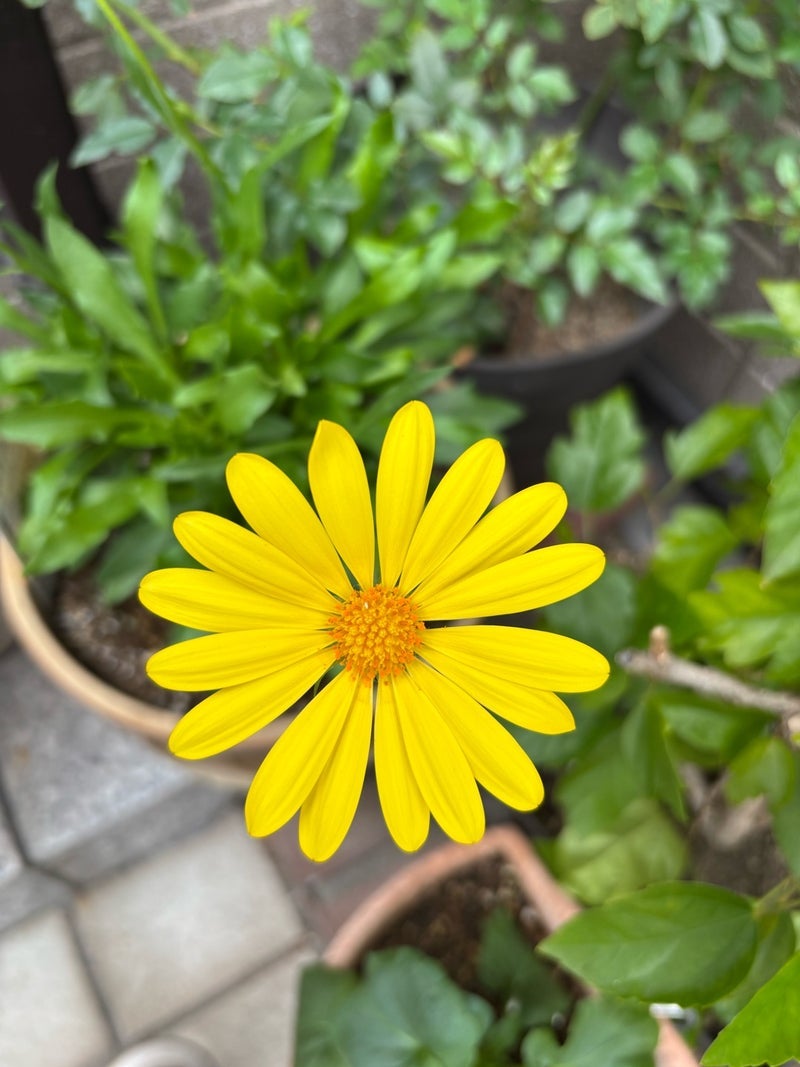 トピックス画像