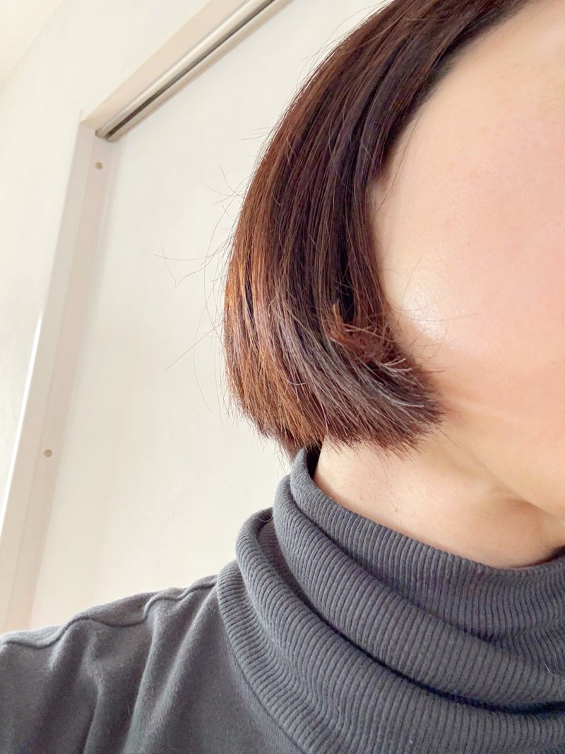 トピックス画像