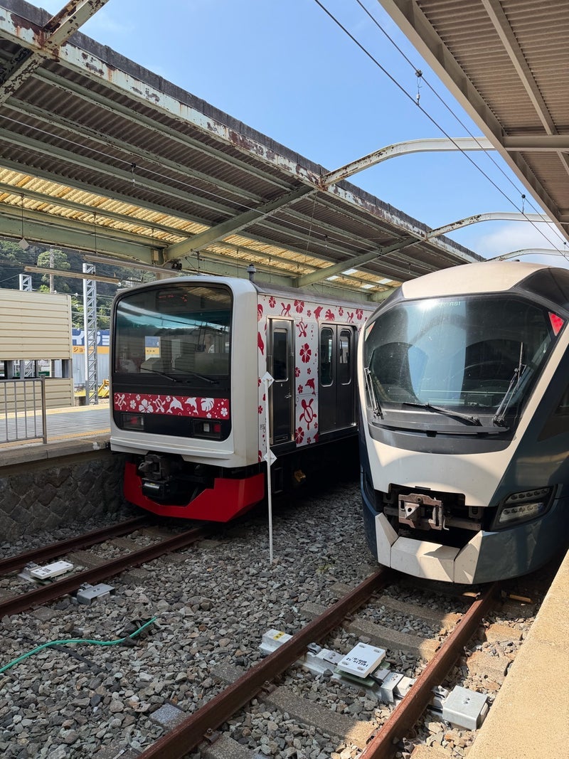 堀ちえみ 東京へ向かうサフィールの画像