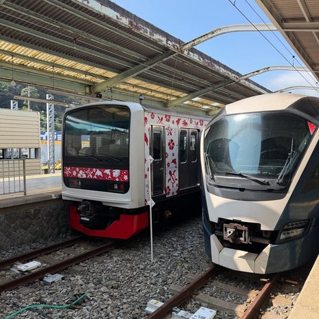 堀ちえみ 東京へ向かうサフィールの画像