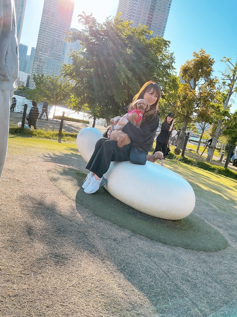 渡辺美奈代 べったりな愛犬達の画像