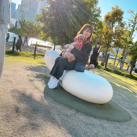 渡辺美奈代 べったりな愛犬達の画像
