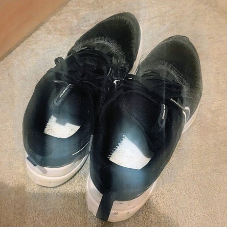 息子の魔窟な部屋の片付けを強行の画像