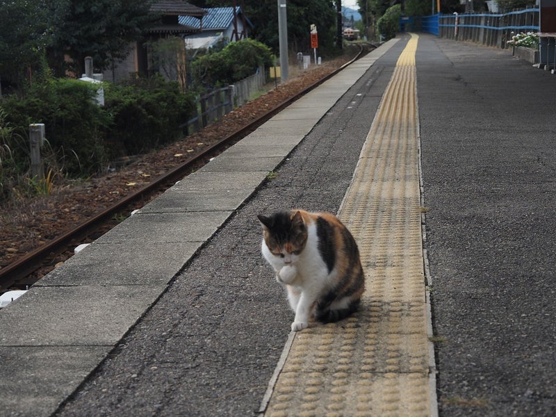 会員への叱責が半端ない高齢者の画像
