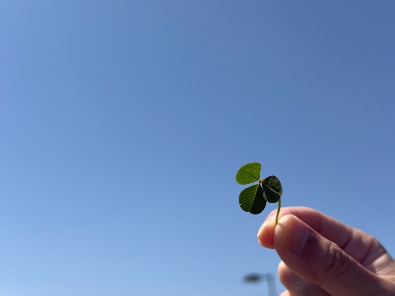 夫婦で美味しいと気に入ったマックの画像