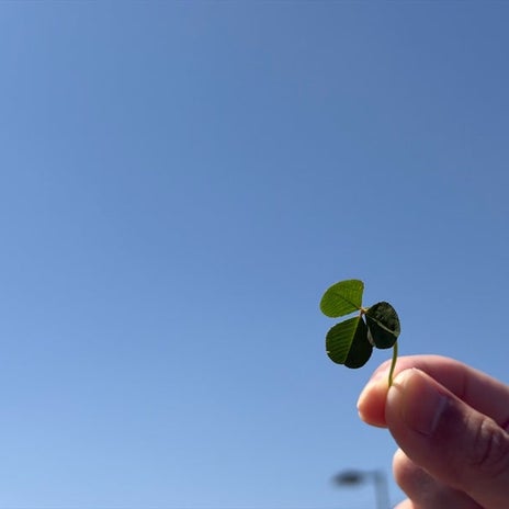 夫婦で美味しいと気に入ったマックの画像