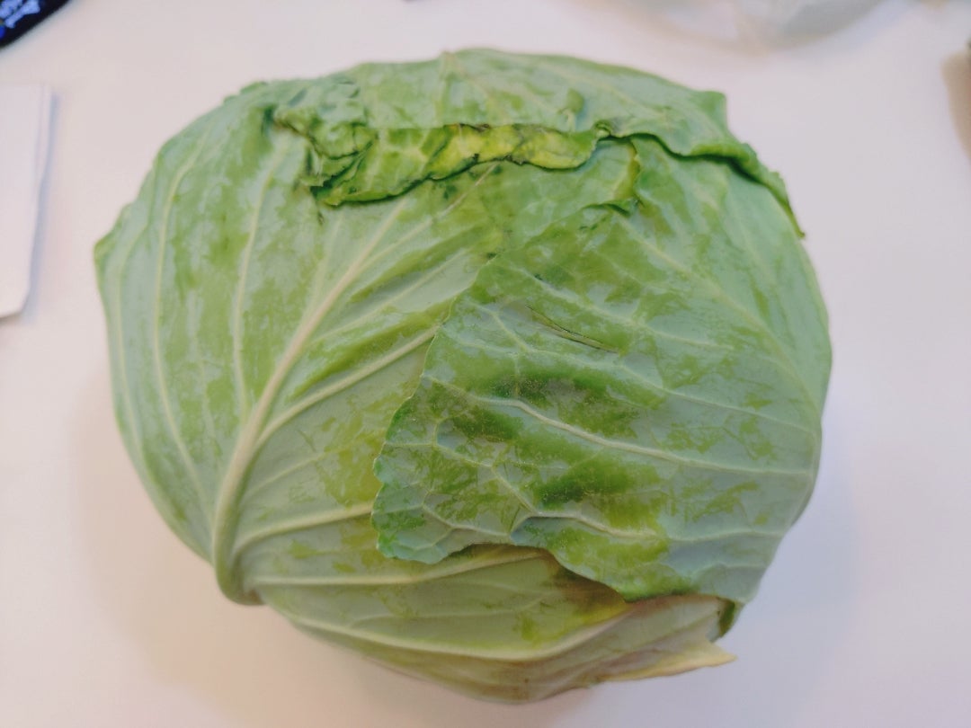 山田花子 50円の野菜使って料理