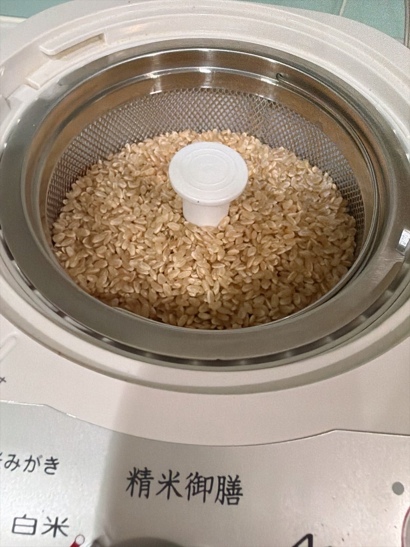 渡辺美奈代 精米したてで夜ごはんの画像
