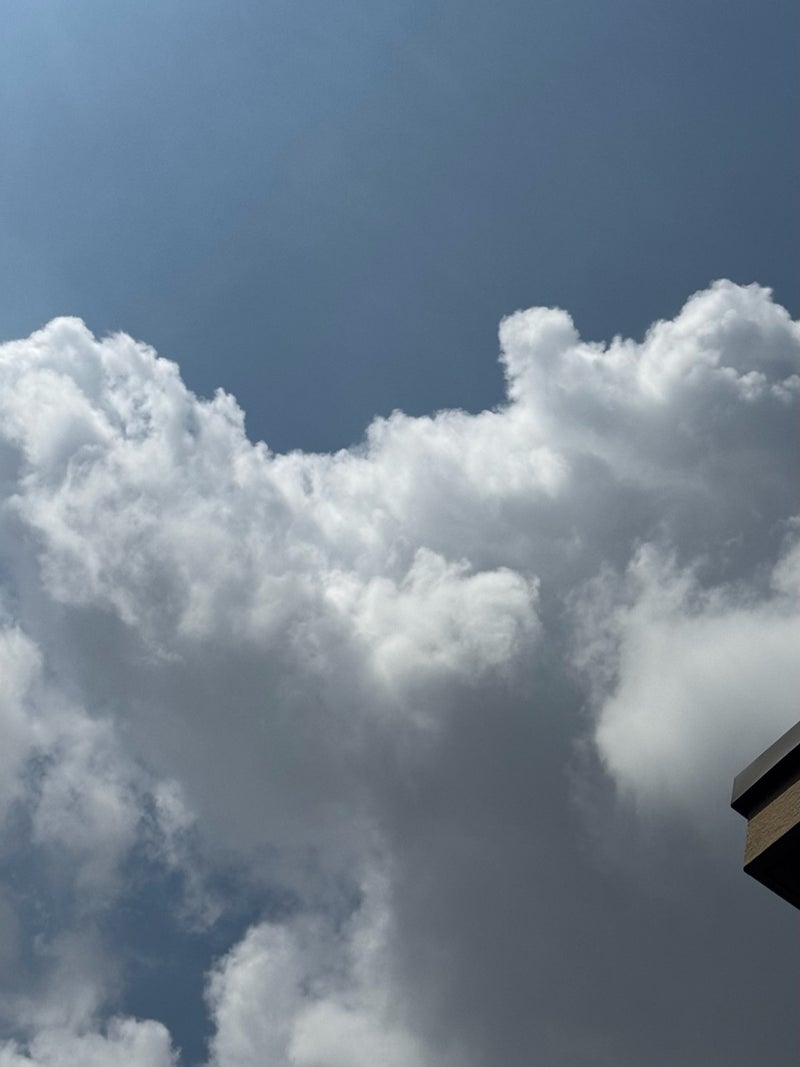 堀ちえみ ワクワクする面白い雲の画像