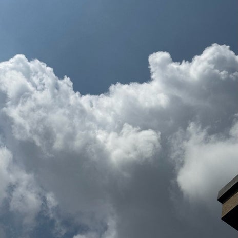 堀ちえみ ワクワクする面白い雲の画像