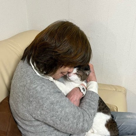 桃の母 池袋の高層階から見た東京の画像