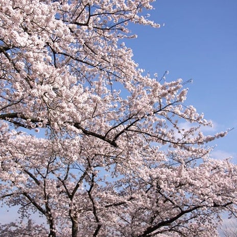 時間通りに来れた娘の嬉しい成長の画像