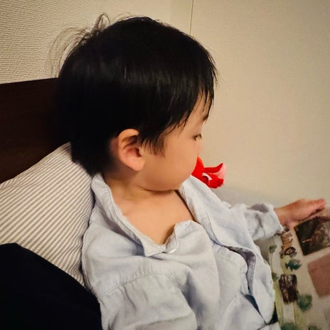 だいた 息子の心配で忙しい日々の画像