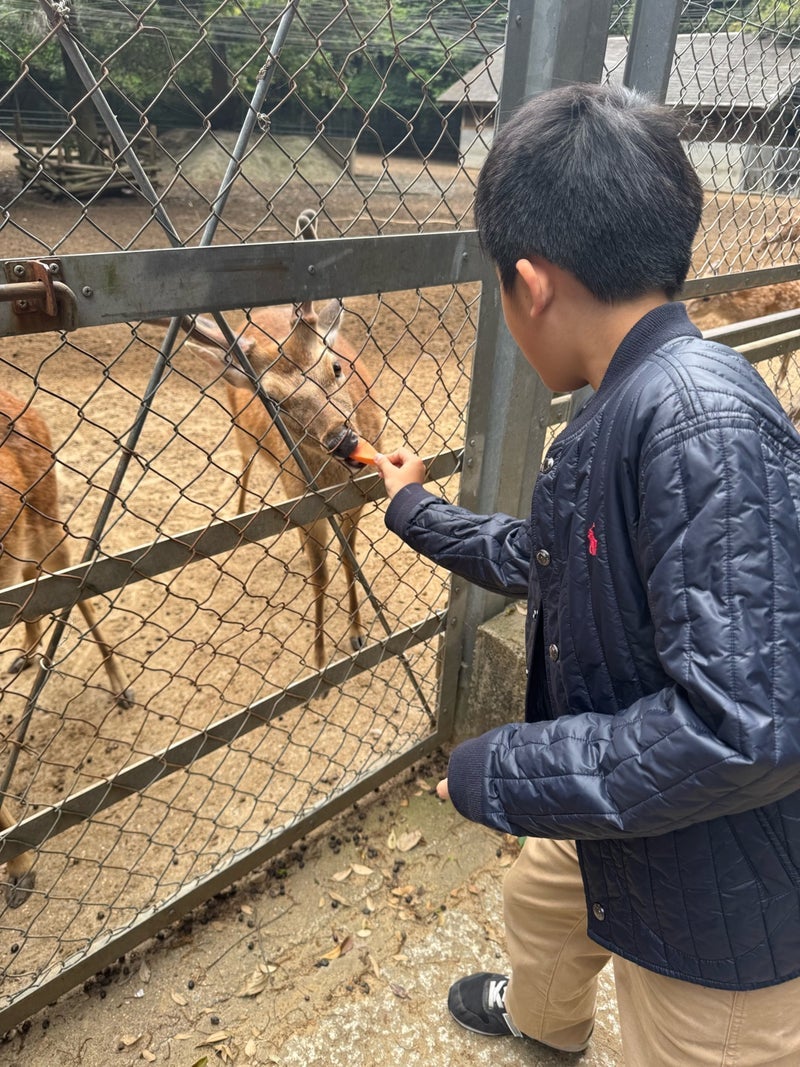 実物は小さいが地下に巨大な霊石の画像