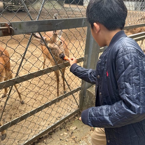 実物は小さいが地下に巨大な霊石の画像