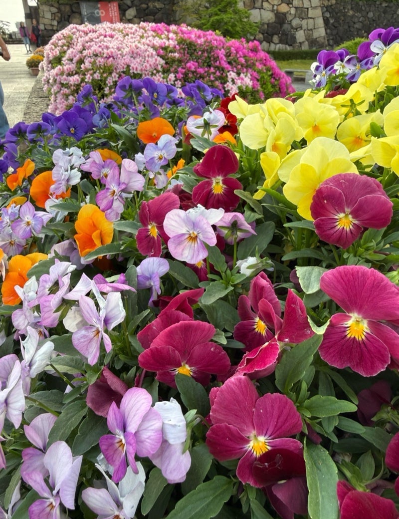 動き出して分かった心と体のことの画像