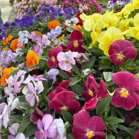 動き出して分かった心と体のことの画像