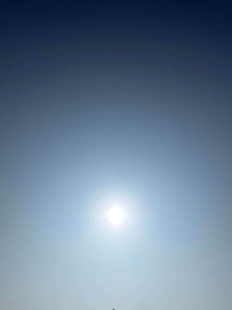 田中健 察して散歩へ出かけてくれた娘の画像