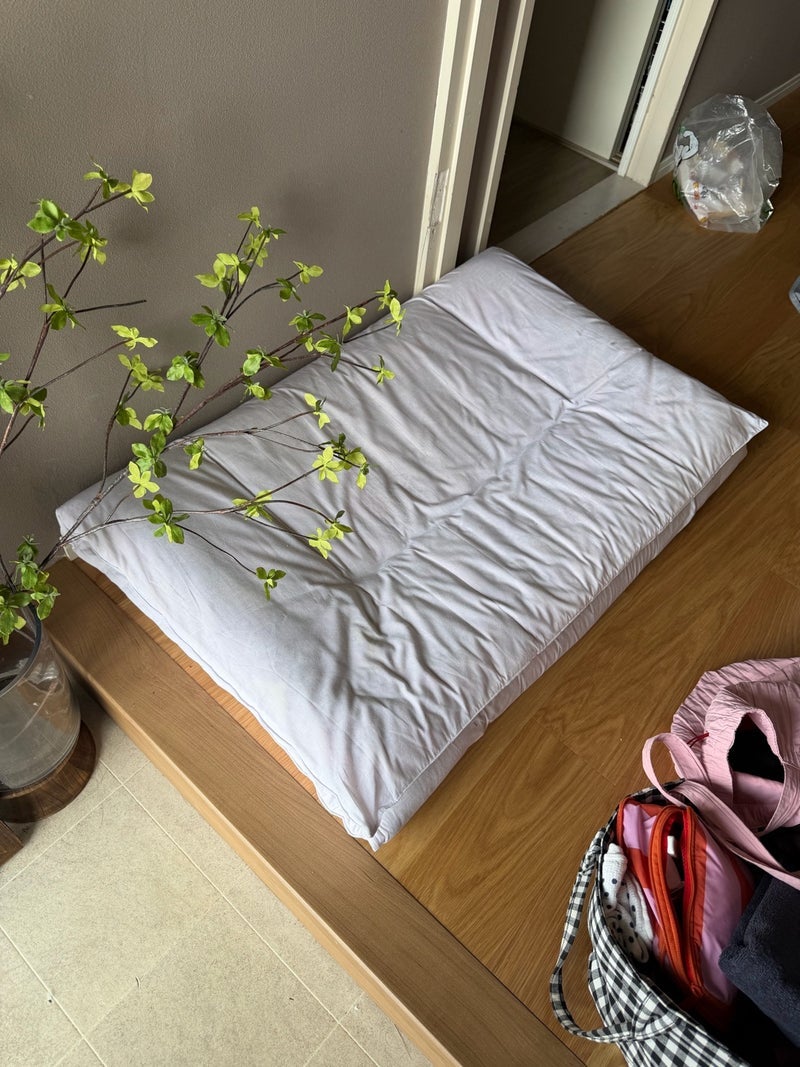 クロ 眠たくてピラティスを断念の画像
