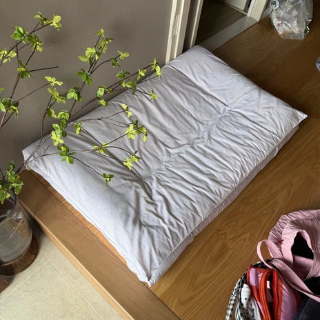 クロ 眠たくてピラティスを断念の画像
