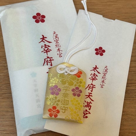 中学生が考えた充実の卒業旅行の画像