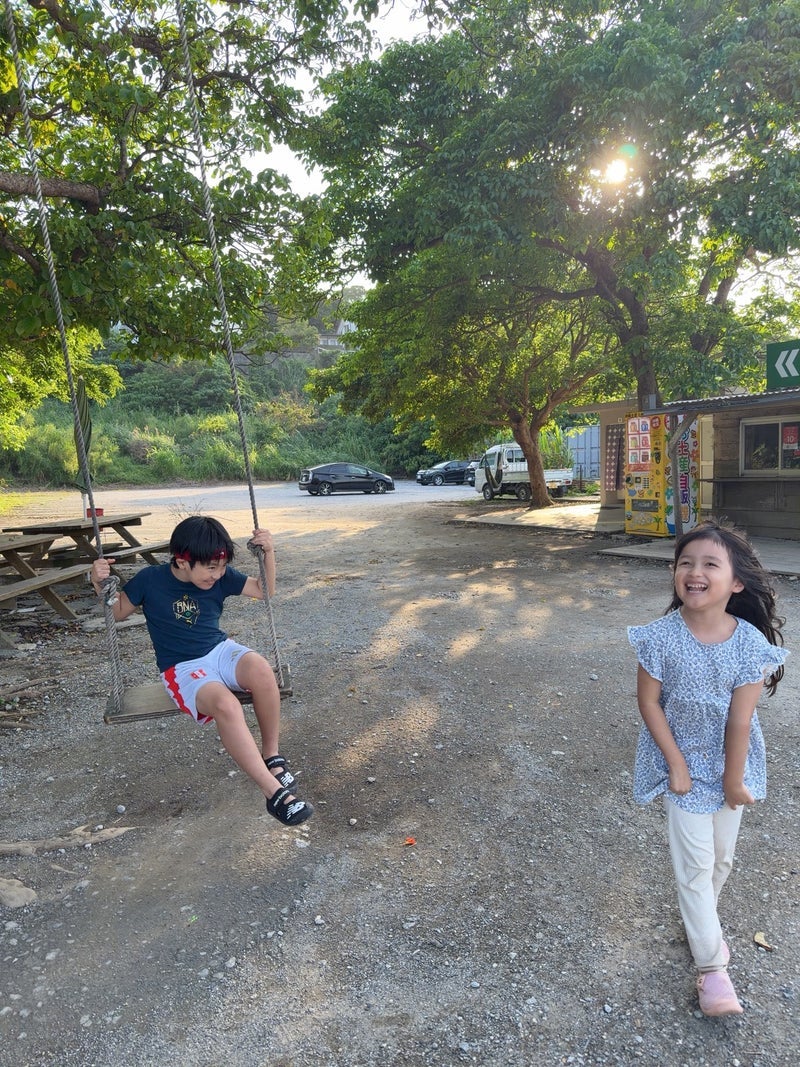 アレク 夏休みは沖縄へプチ移住の画像