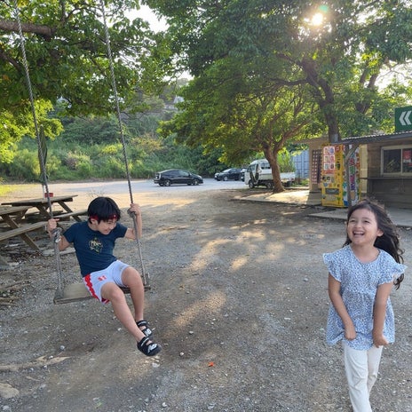 アレク 夏休みは沖縄へプチ移住の画像