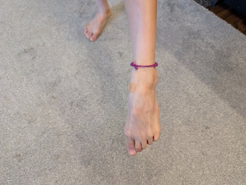 照英 姉妹の光景に涙腺崩壊寸前の画像