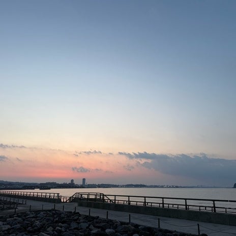 残り少なくなった日々の景色の移ろいの画像