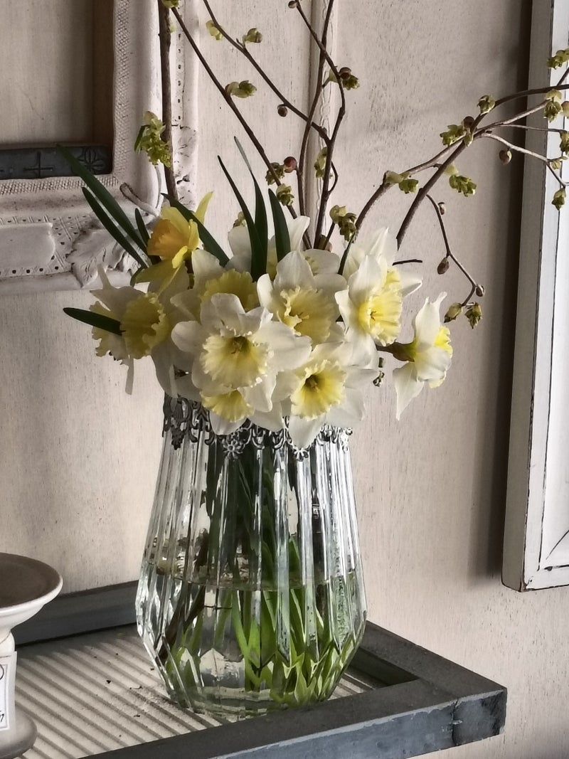 市場で買った1束200円の水仙の画像