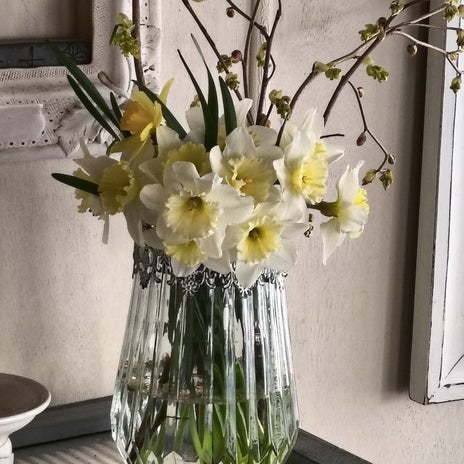 市場で買った1束200円の水仙の画像