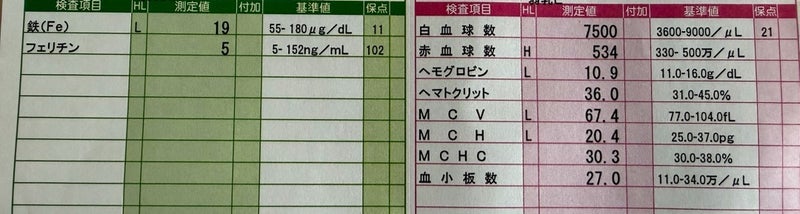 加齢だと思っていた息切れと貧血の画像